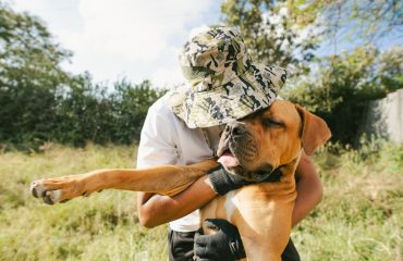 unsplash-sponsorlu-tanitim-veterinerler-icin-isbirligi-reklam